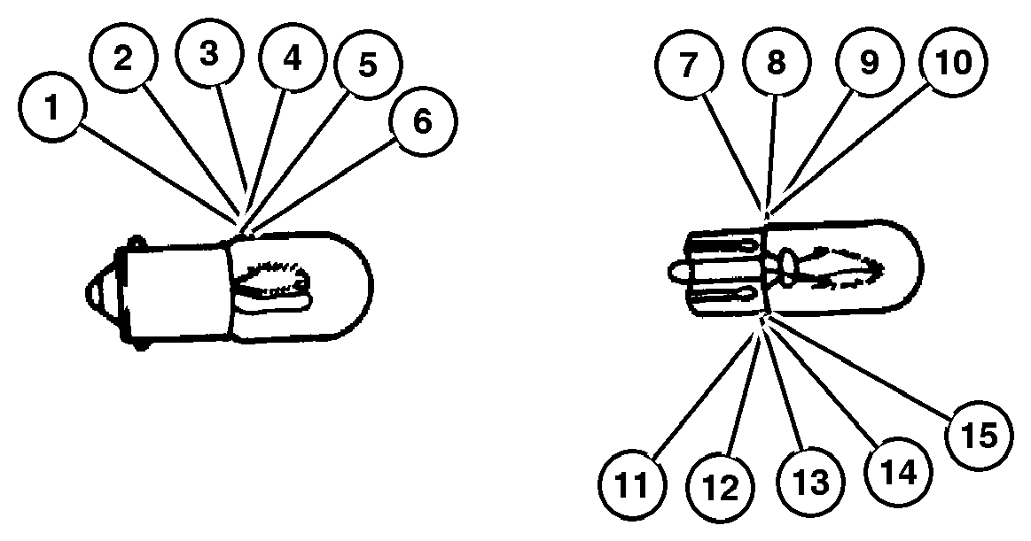 Exploded view: Bulbs