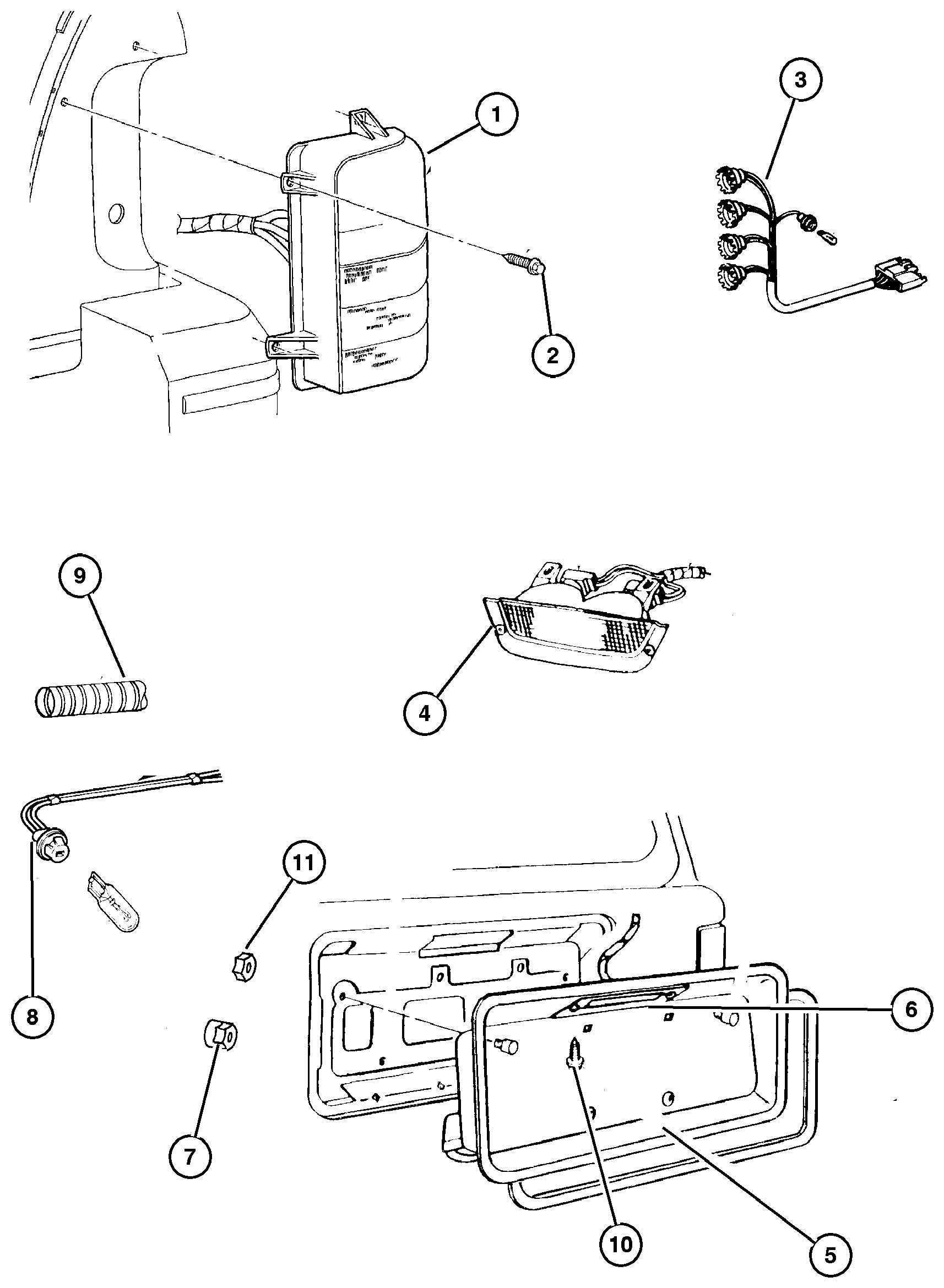 Exploded view: Lamp--Rear