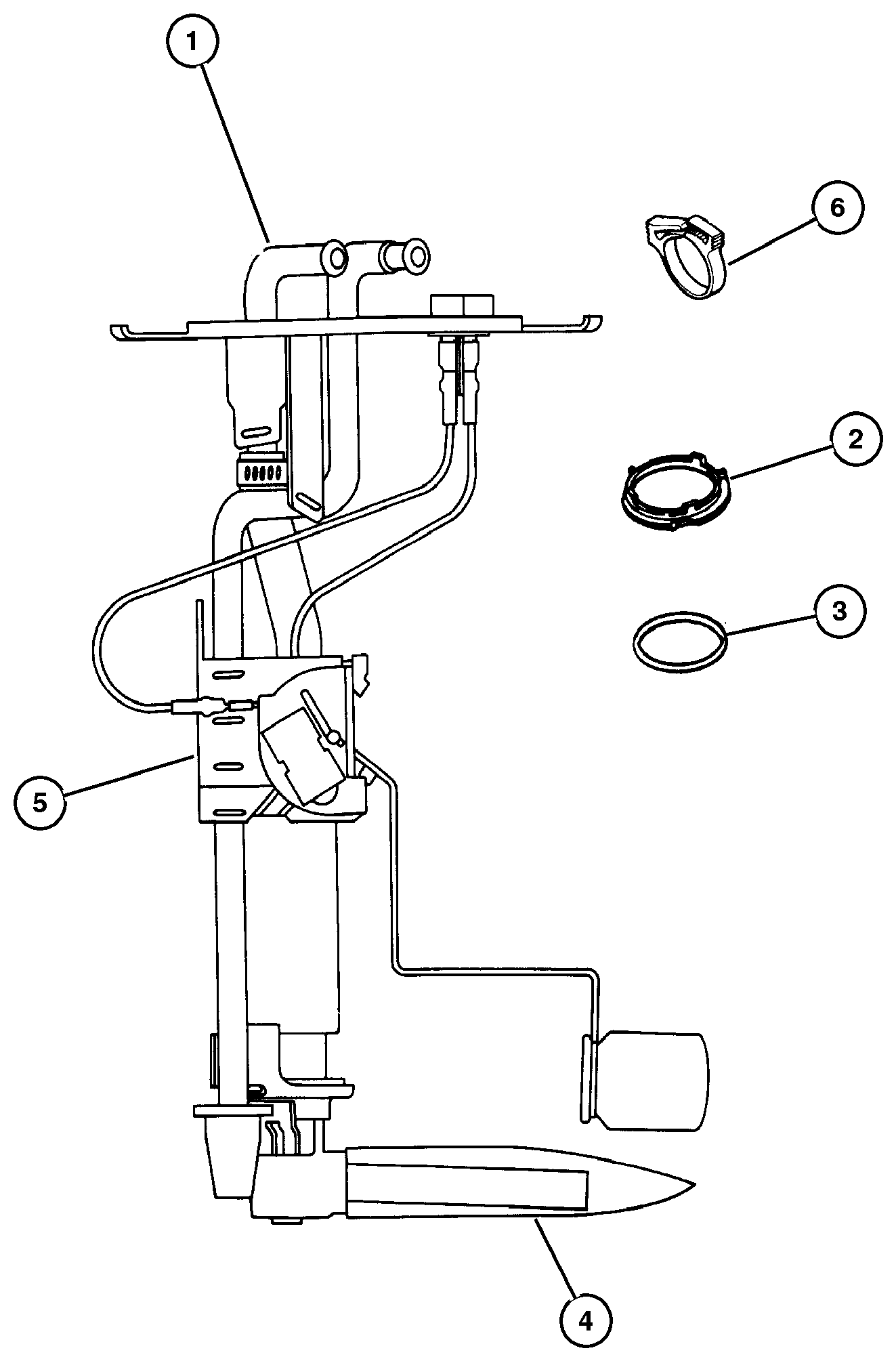 Exploded view: Fuel Pump and Sending Unit