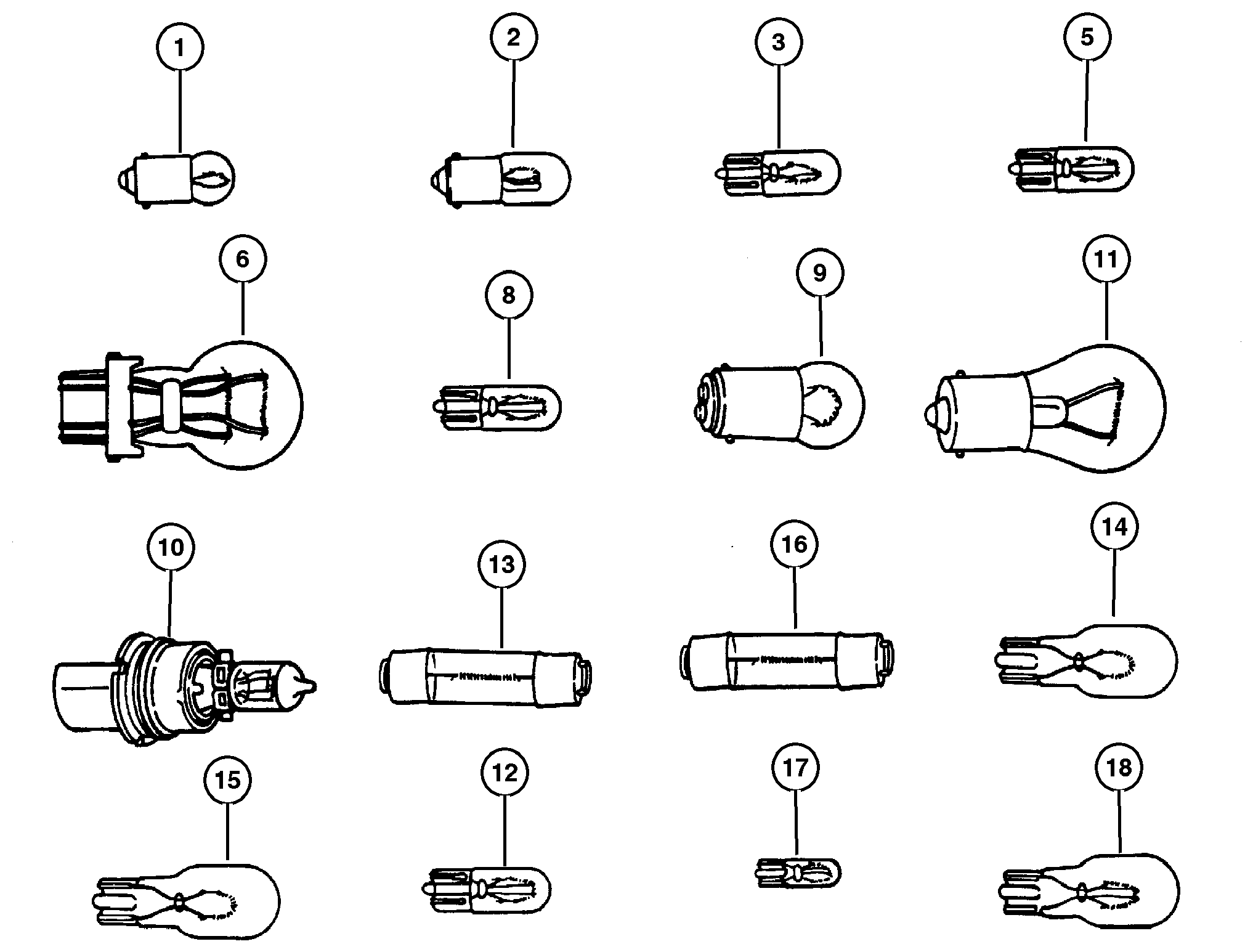 Exploded view: Bulbs