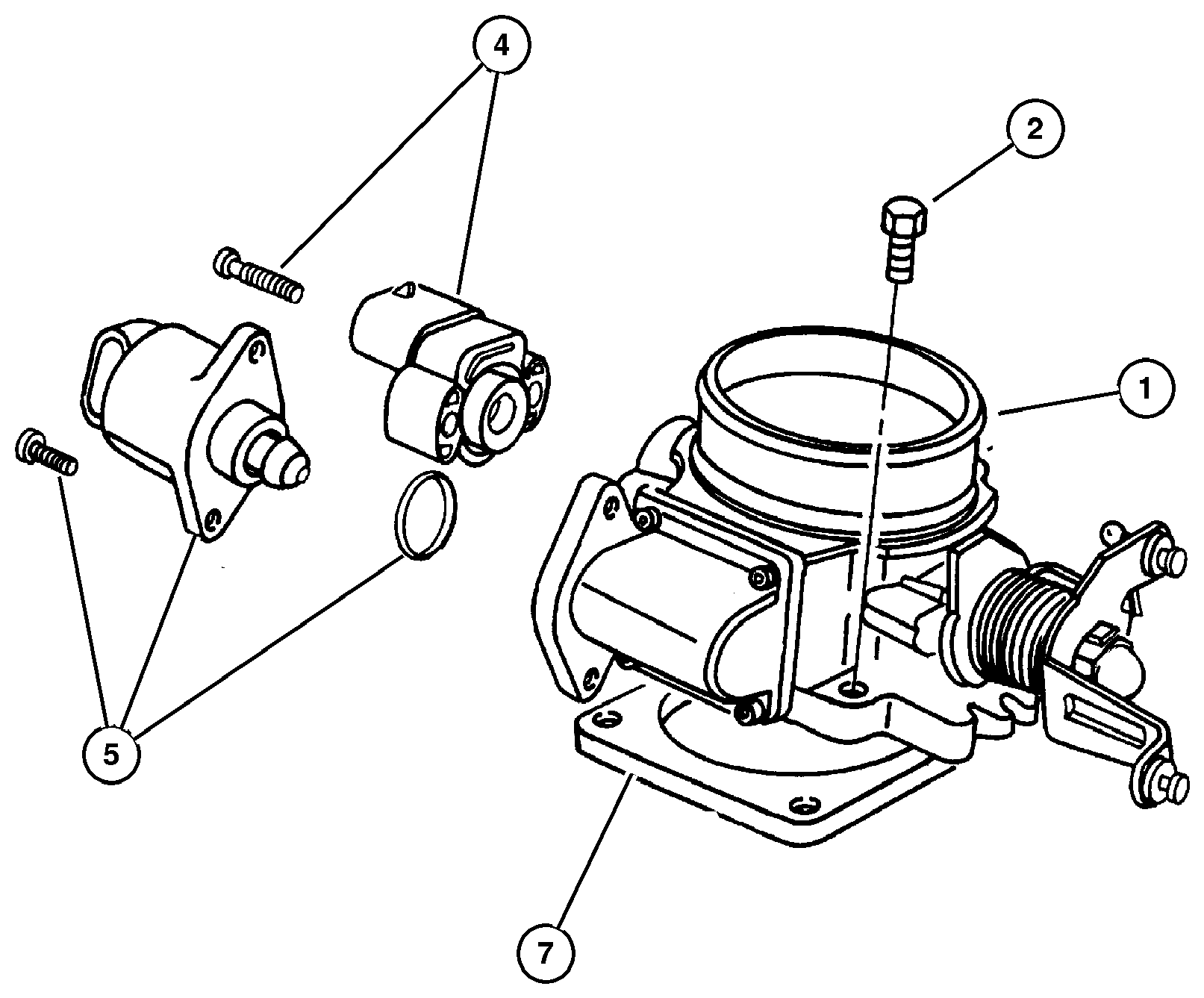 Exploded view: Throttle Body
